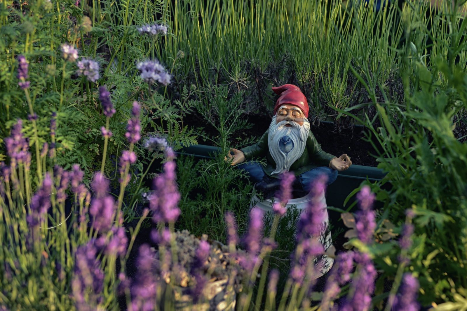 A gnome meditating in a flower garden.